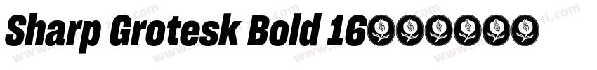 Sharp Grotesk Bold 16字体转换